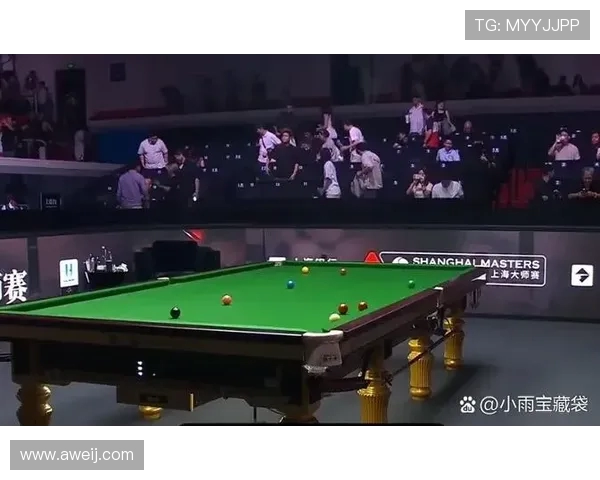 成都排球队在大师赛中的力量展现与战术分析